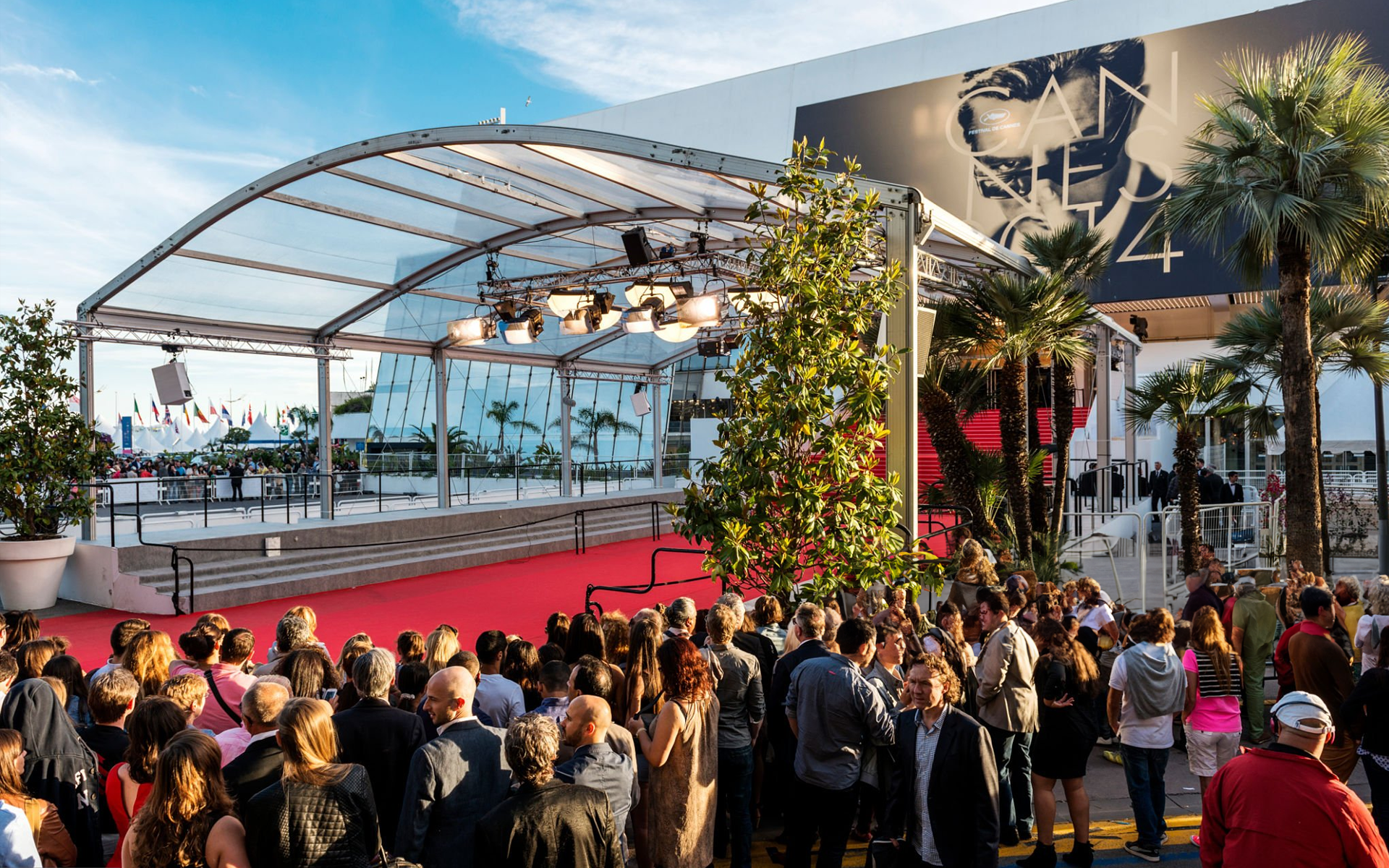 pexels-cherubs-22669860